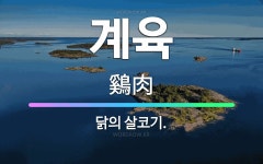 🌟계육: 닭의 살코기. - 표준국어대사전