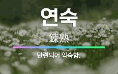 🌟연숙: 단련되어 익숙함. - 표준국어대사전
