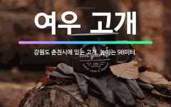 🌟여우 고개: 강원도 춘천시에 있는 고개. 높이는 98미터. - 표준국어대사전