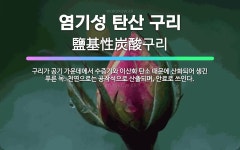 🌟염기성 탄산 구리: 구리가 공기 가운데에서 수증기와 이산화 탄소 때문에 산화되어 생긴 푸른 녹. 천연으로... - 표준국어대사전