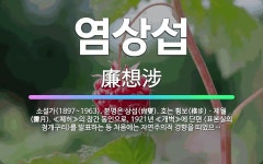 🌟염상섭: 소설가(1897~1963). 본명은 상섭(尙燮). 호는 횡보(橫步)ㆍ제월(霽月). ≪폐허≫의 창... - 표준국어대사전