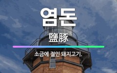 🌟염돈: 소금에 절인 돼지고기. - 표준국어대사전