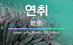 🌟연취: ‘연취하다’의 어근. (연취하다: 무르고 약하다.) - 표준국어대사전