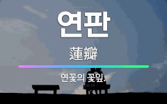 🌟연판: 연꽃의 꽃잎. - 표준국어대사전