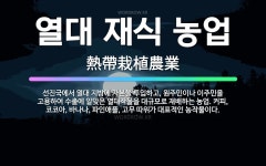 🌟열대 재식 농업: 선진국에서 열대 지방에 자본을 투입하고, 원주민이나 이주민을 고용하여 수출에 알맞은 열... - 표준국어대사전