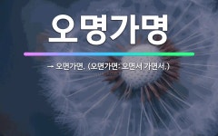 🌟오명가명: → 오면가면. (오면가면: 오면서 가면서.) - 표준국어대사전