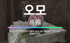 🌟오모: 벼슬을 하지 아니하고 시골에 숨어 사는 사람들이 쓰던 검은 빛깔의 모자. - 표준국어대사전