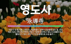 🌟영도사: ‘개운사’의 옛 이름. (개운사: 서울특별시 성북구 안암동에 있는 절. 조선 태조 5년(1396... - 표준국어대사전