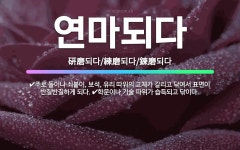 🌟연마되다: 주로 돌이나 쇠붙이, 보석, 유리 따위의 고체가 갈리고 닦여서 표면이 반질반질하게 되다., 학... - 표준국어대사전