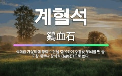 🌟계혈석: 석회암 가운데에 황화 수은을 함유하여 주홍빛 무늬를 띤 돌. 도장 재료나 장식석(裝飾石)으로 쓴다. - 표준국어대사전