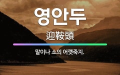 🌟영안두: 말이나 소의 어깻죽지. - 표준국어대사전