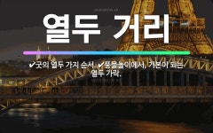 🌟열두 거리: 풍물놀이에서, 기본이 되는 열두 가락., 굿의 열두 가지 순서. - 표준국어대사전