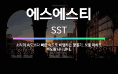 🌟에스에스티: 소리의 속도보다 빠른 속도로 비행하는 항공기. 보통 마하로 속도를 나타낸다. - 표준국어대사전
