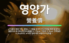 🌟영양가: 어떤 일에 대한 보람이나 이득을 비유적으로 이르는 말., 식품의 영양 가치. 영양소 1그램을 완... - 표준국어대사전