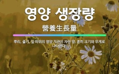 🌟영양 생장량: 뿌리, 줄기, 잎 따위의 영양 기관이 자란 양. 흔히 크기와 무게로 나타낸다. - 표준국어대사전