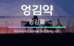 🌟엉김약: 액체 속의 작은 알갱이를 가라앉게 하는 시약. - 표준국어대사전