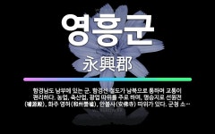 🌟영흥군: 함경남도 남부에 있는 군. 함경선 철도가 남북으로 통하며 교통이 편리하다. 농업, 축산업, 광업... - 표준국어대사전