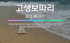 🌟고생보따리: 고생스러운 일거리가 들어 있는 주머니라는 뜻으로, 힘든 일이 늘 많은 것을 비유적으로 이르는 말. - 표준국어대사전
