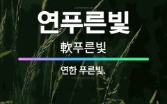 🌟연푸른빛: 연한 푸른빛. - 표준국어대사전
