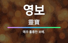 🌟영보: 매우 훌륭한 보배. - 표준국어대사전