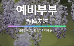 🌟예비부부: 결혼할 예정인 한 쌍의 처녀와 총각. - 표준국어대사전
