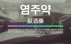 🌟염주약: 술을 끊게 하는 약. 알코올을 대사시키는 효소의 작용을 저해하여, 특유의 불쾌한 냄새를 내는 알... - 표준국어대사전