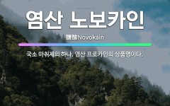 🌟염산 노보카인: 국소 마취제의 하나. 염산 프로카인의 상품명이다. - 표준국어대사전