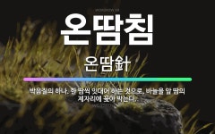 🌟온땀침: 박음질의 하나. 한 땀씩 잇대어 하는 것으로, 바늘을 앞 땀의 제자리에 꽂아 박는다. - 표준국어대사전
