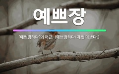 🌟예쁘장: ‘예쁘장하다’의 어근. (예쁘장하다: 제법 예쁘다.) - 표준국어대사전