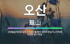 🌟오산: 산대놀음 따위와 같은 민속놀이를 하기 위하여 큰길가나 빈터에 마련한 임시 무대. - 표준국어대사전
