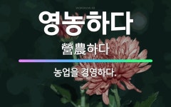 🌟영농하다: 농업을 경영하다. - 표준국어대사전