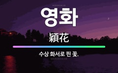 🌟영화: 수상 화서로 핀 꽃. - 표준국어대사전