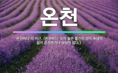 🌟온천: ‘온천하다’의 어근. (온천하다: 모아 놓은 물건의 양이 축남이 없이 온전하거나 상당히 많다.) - 표준국어대사전