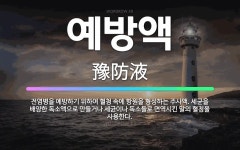 🌟예방액: 전염병을 예방하기 위하여 혈청 속에 항원을 형성하는 주사액. 세균을 배양한 독소액으로 만들거나 ... - 표준국어대사전