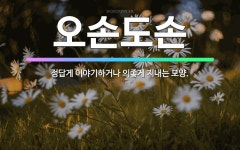 🌟오손도손: 정답게 이야기하거나 의좋게 지내는 모양. - 표준국어대사전