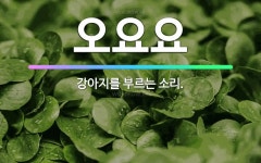 🌟오요요: 강아지를 부르는 소리. - 표준국어대사전
