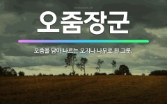 🌟오줌장군: 오줌을 담아 나르는 오지나 나무로 된 그릇. - 표준국어대사전
