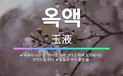 🌟옥액: 옥에서 나는 즙. 마시면 오래 산다고 하여 도가에서는 선약으로 친다., 빛깔과 맛이 좋은 술. - 표준국어대사전