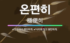 🌟온편히: 사리에 맞고 원만하게., 안온하고 편리하게. - 표준국어대사전