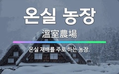 🌟온실 농장: 온실 재배를 주로 하는 농장. - 표준국어대사전