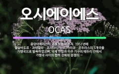 🌟오시에이에스: 중앙아메리카의 국제적 협력 조직. 1951년에 엘살바도르ㆍ과테말라ㆍ코스타리카ㆍ니카라과ㆍ온두... - 표준국어대사전
