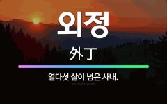 🌟외정: 열다섯 살이 넘은 사내. - 표준국어대사전