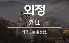 🌟외정: 외국으로 출정함. - 표준국어대사전