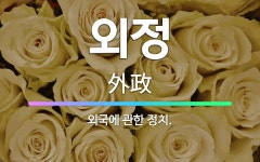 🌟외정: 외국에 관한 정치. - 표준국어대사전