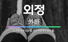 🌟외정: 집 바깥쪽에 있는 뜰. 또는 바깥채에 딸린 뜰. - 표준국어대사전