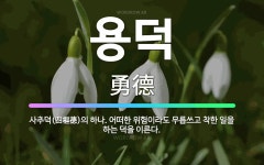 🌟용덕: 사추덕(四樞德)의 하나. 어떠한 위험이라도 무릅쓰고 착한 일을 하는 덕을 이른다. - 표준국어대사전