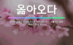 🌟옮아오다: 다른 곳에서 일정한 곳으로 자리 잡아 오다., 불이나 질병 따위가 번져 오다. - 표준국어대사전