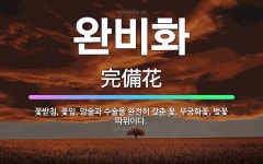 🌟완비화: 꽃받침, 꽃잎, 암술과 수술을 완전히 갖춘 꽃. 무궁화꽃, 벚꽃 따위이다. - 표준국어대사전