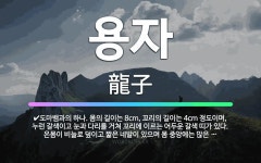 용자: 도마뱀과의 하나. 몸의 길이는 8cm, 꼬리의 길이는 4cm 정도이며, 누런 갈색이고 눈과 다리를... - 표준국어대사전