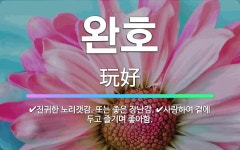 🌟완호: 진귀한 노리갯감. 또는 좋은 장난감., 사랑하여 곁에 두고 즐기며 좋아함. - 표준국어대사전